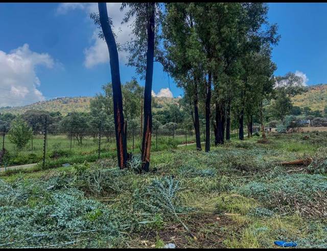 LAND FOR SALE IN POORTVIEW